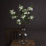 Delphine White Spring Mock Orange Flower