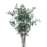 tall eucalyptus stem