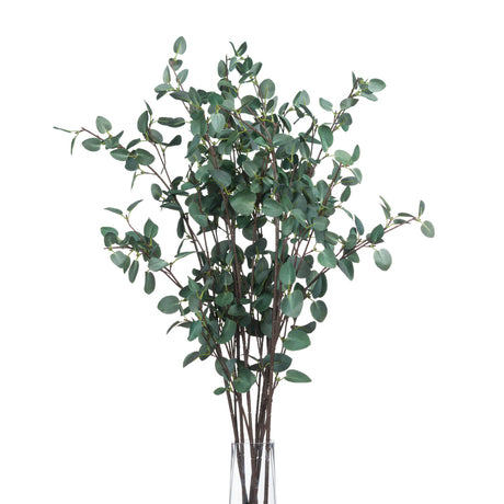 tall eucalyptus stem