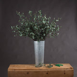 Delphine Tall Eucalyptus Stem