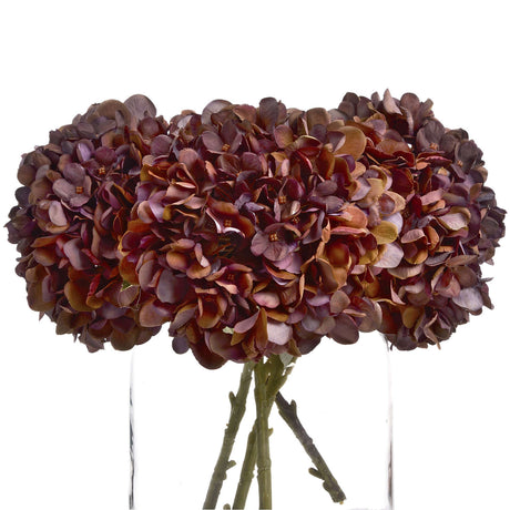 autumn coffee hydrangea