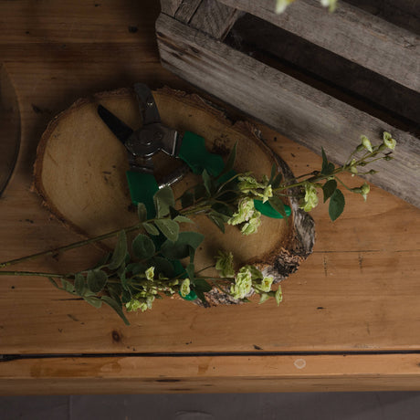 green wild meadow rose