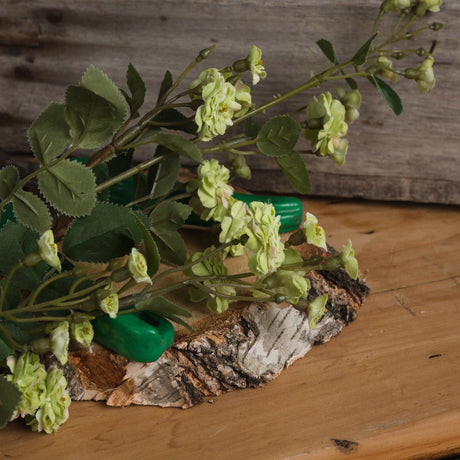 green wild meadow rose