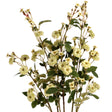 green wild meadow rose