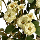 green wild meadow rose
