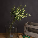 Chantal Cream Wild Meadow Rose