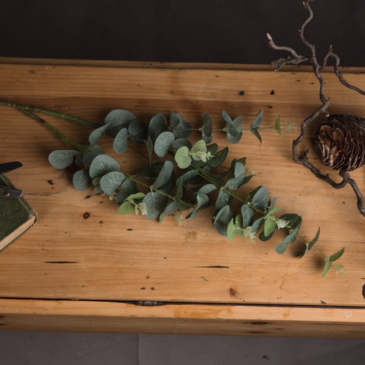 eucalyptus spray