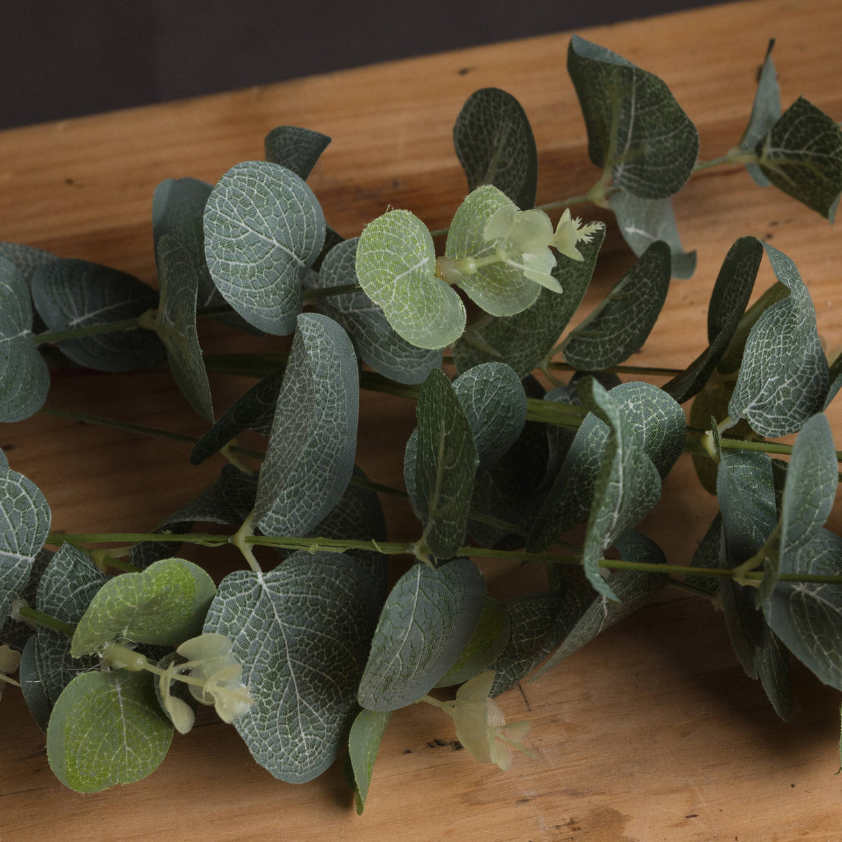 eucalyptus spray