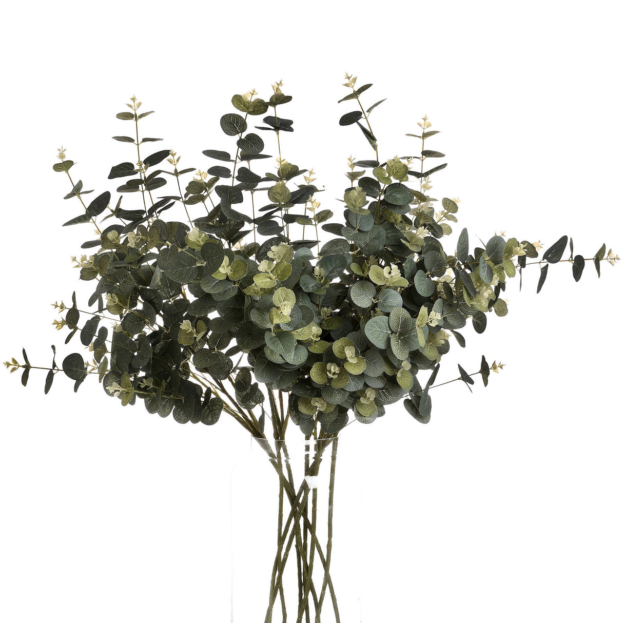 eucalyptus spray