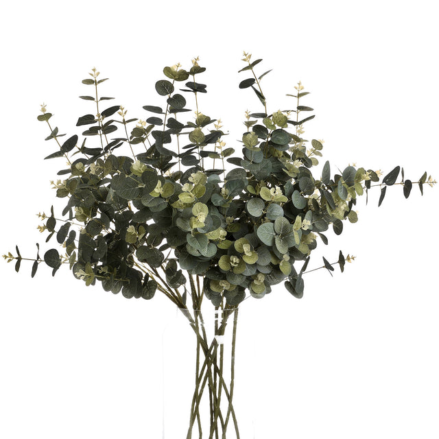 eucalyptus spray