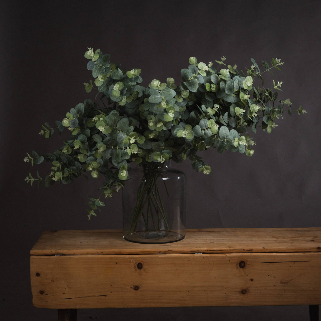 Sabine Variegated Eucalyptus