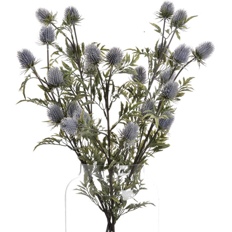 eryngium blue thistle