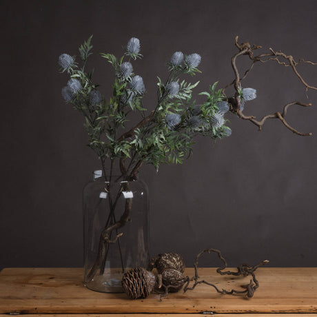 eryngium blue thistle