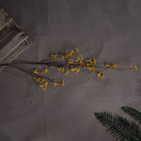 forsythia
