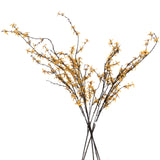 forsythia