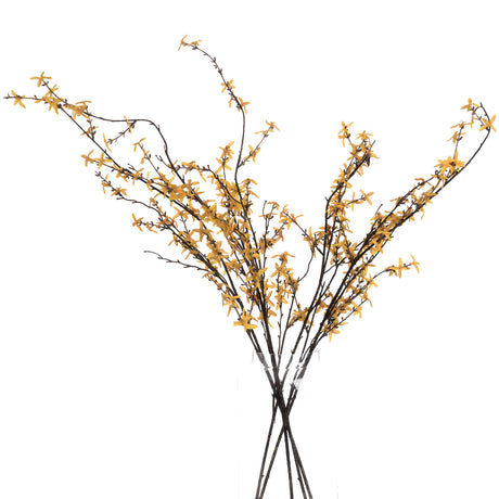 forsythia