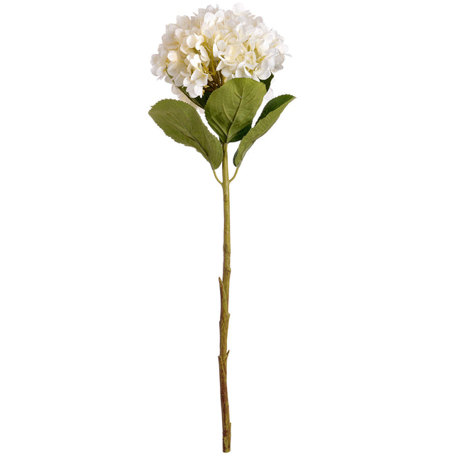 oversized white hydrangea
