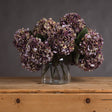 autumn burgundy hydrangea