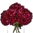 autumn ruby hydrangea
