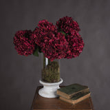 Manon Autumn Burgundy Hydrangea