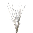 pussy willow branch