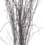 branch spray
