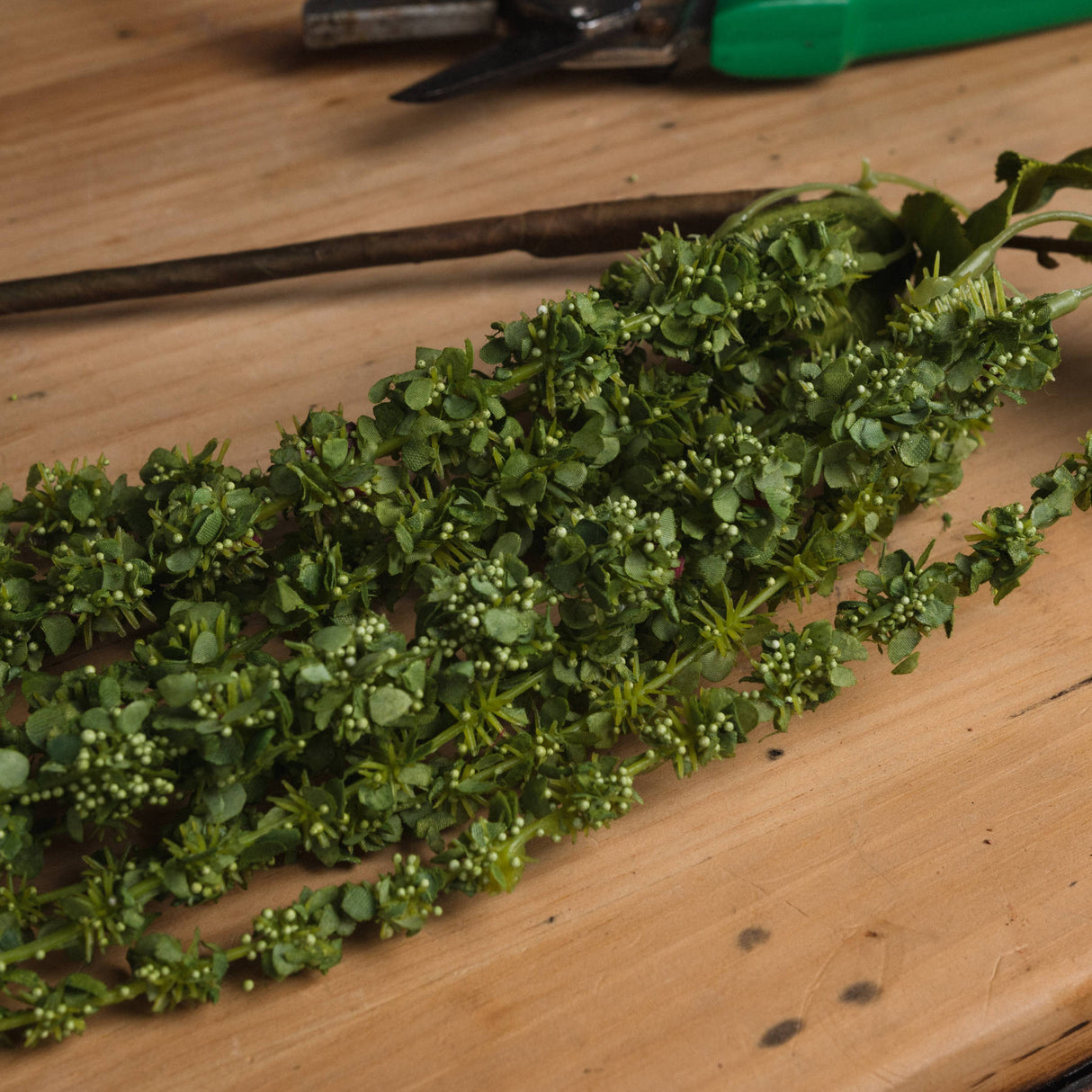 green amaranthus