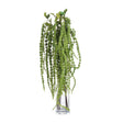 green amaranthus