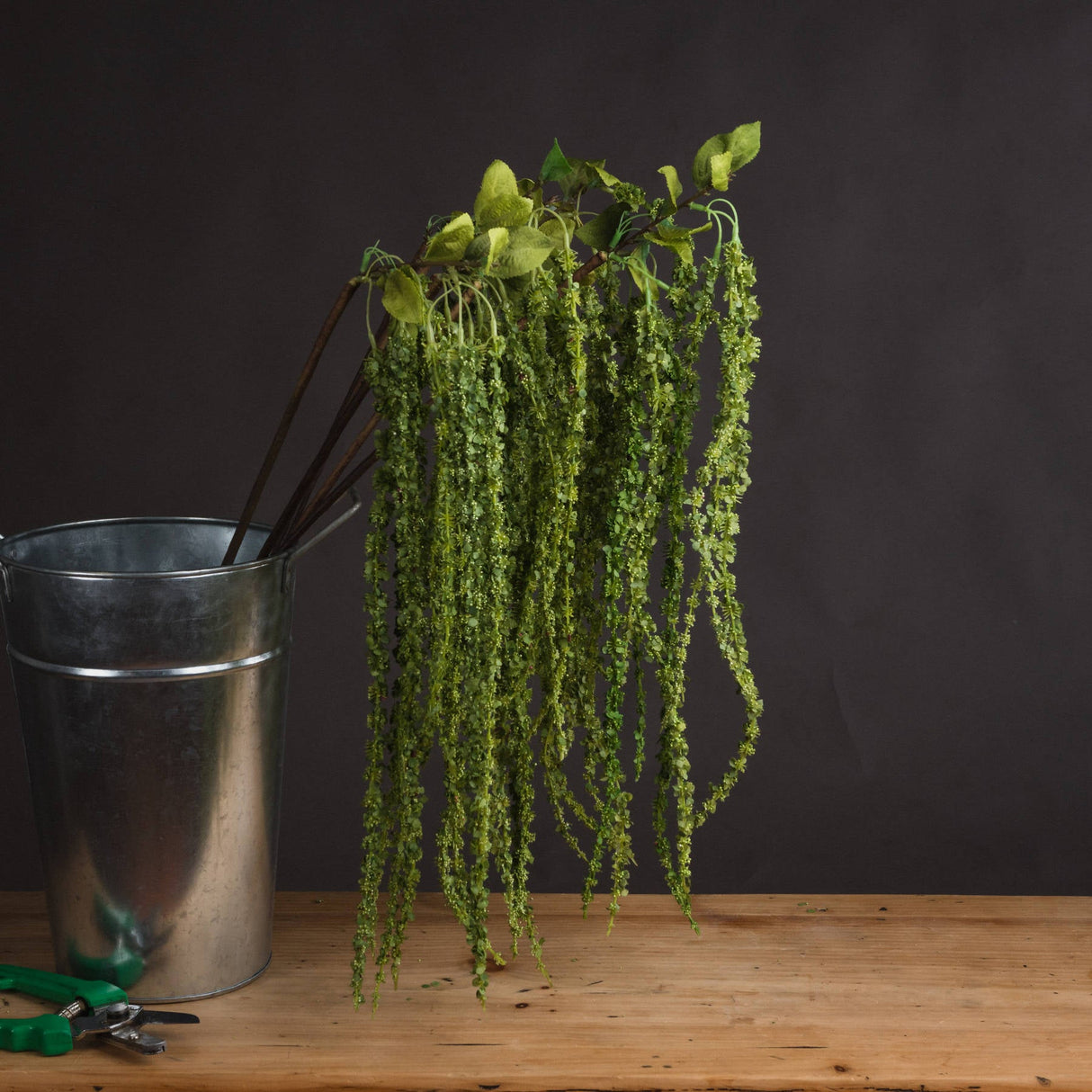 Lena Green Amaranthus