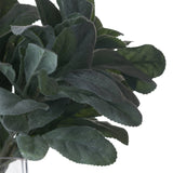 lambs ear spray