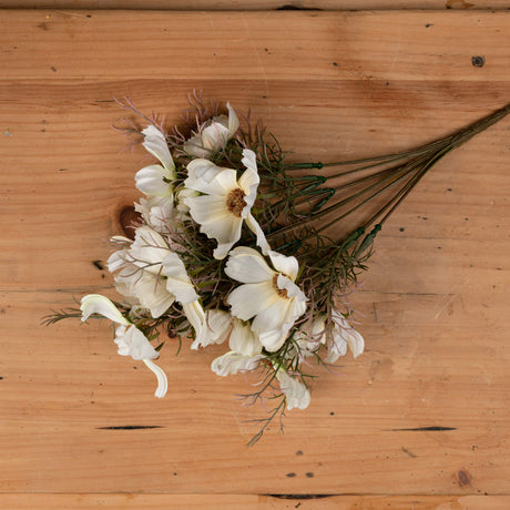 cream cosmos spray