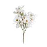 cream cosmos spray