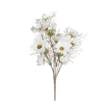 cream cosmos spray