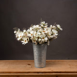 Ivy Cream Cosmos Spray