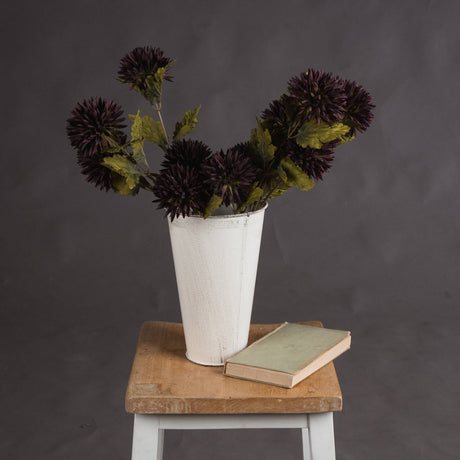 chocolate chrysanthemum
