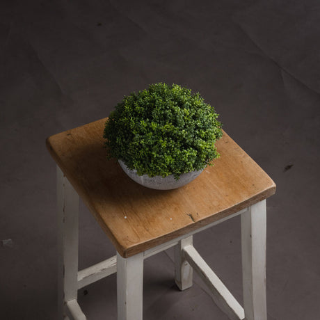 small hebe globe pot