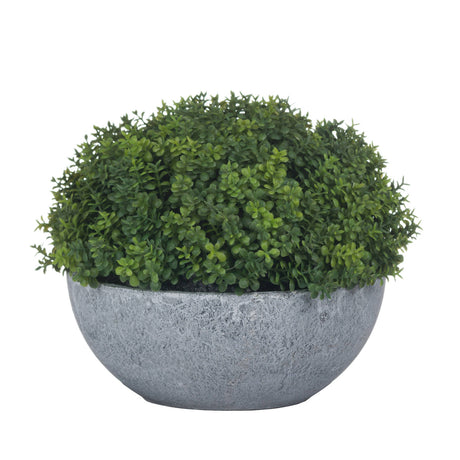 small hebe globe pot