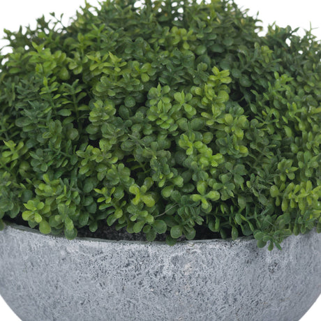 small hebe globe pot