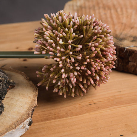 pink allium