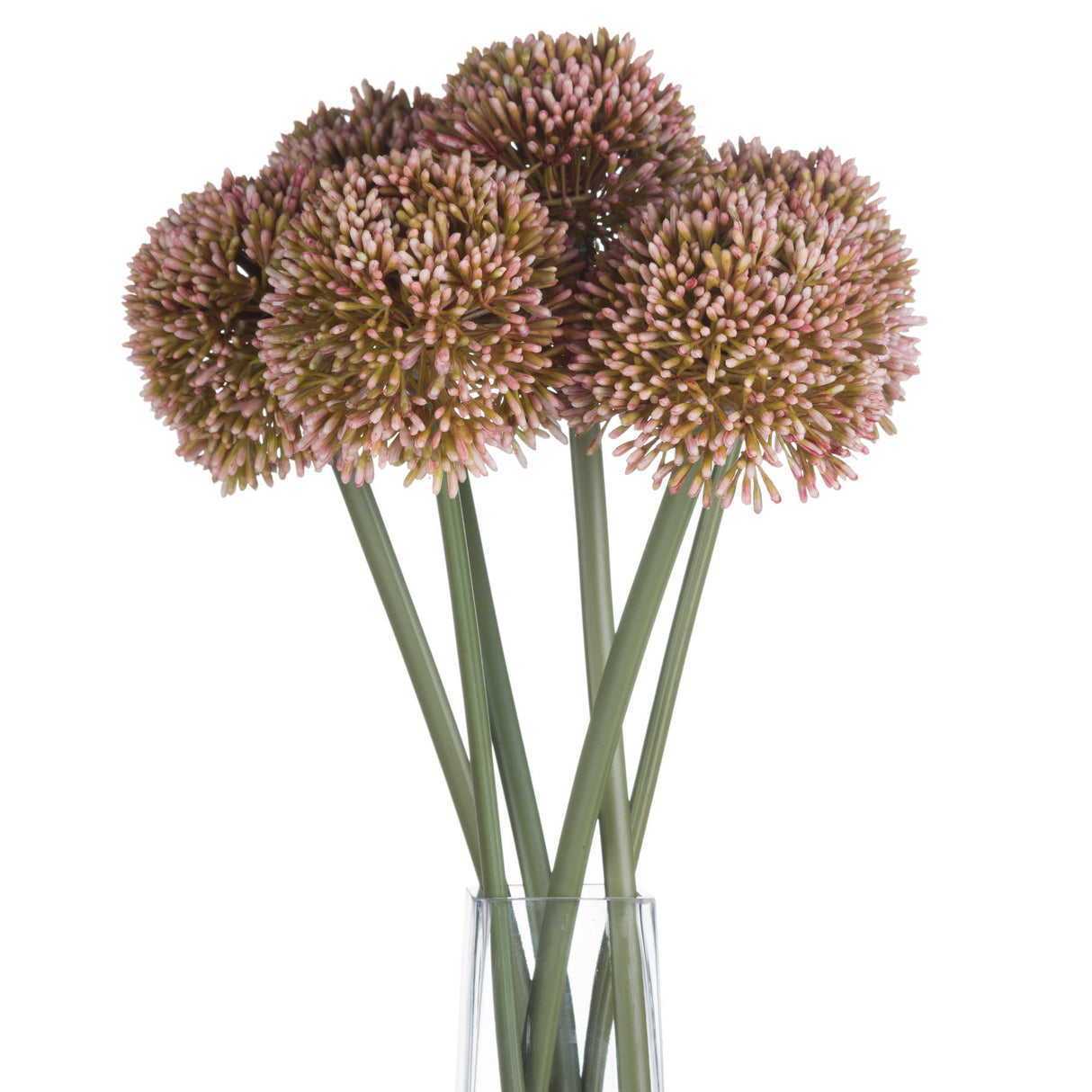 pink allium