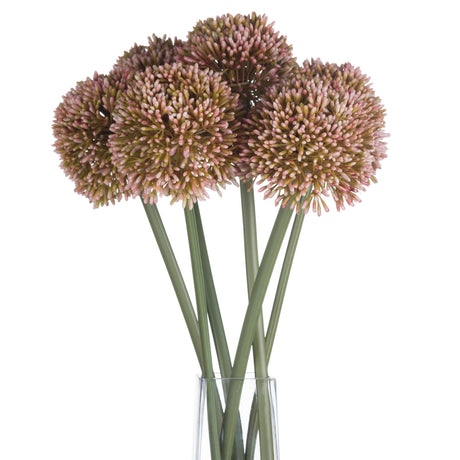 pink allium