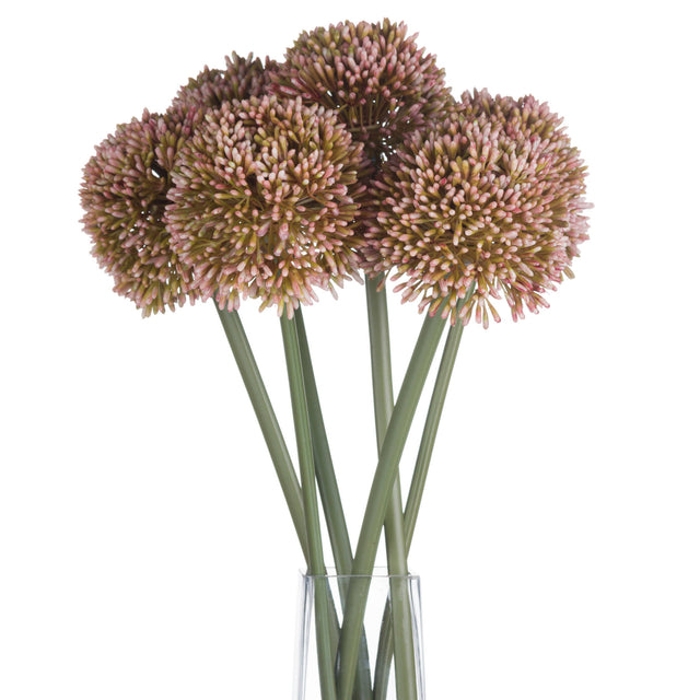 pink allium