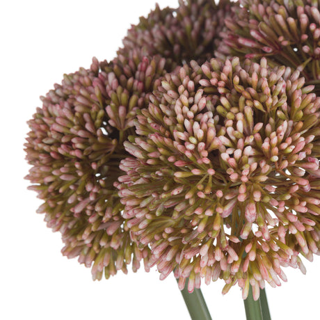pink allium