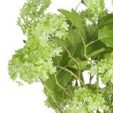 green viburnum spray