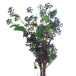viburnum berry