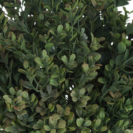 red tipped leaf spray