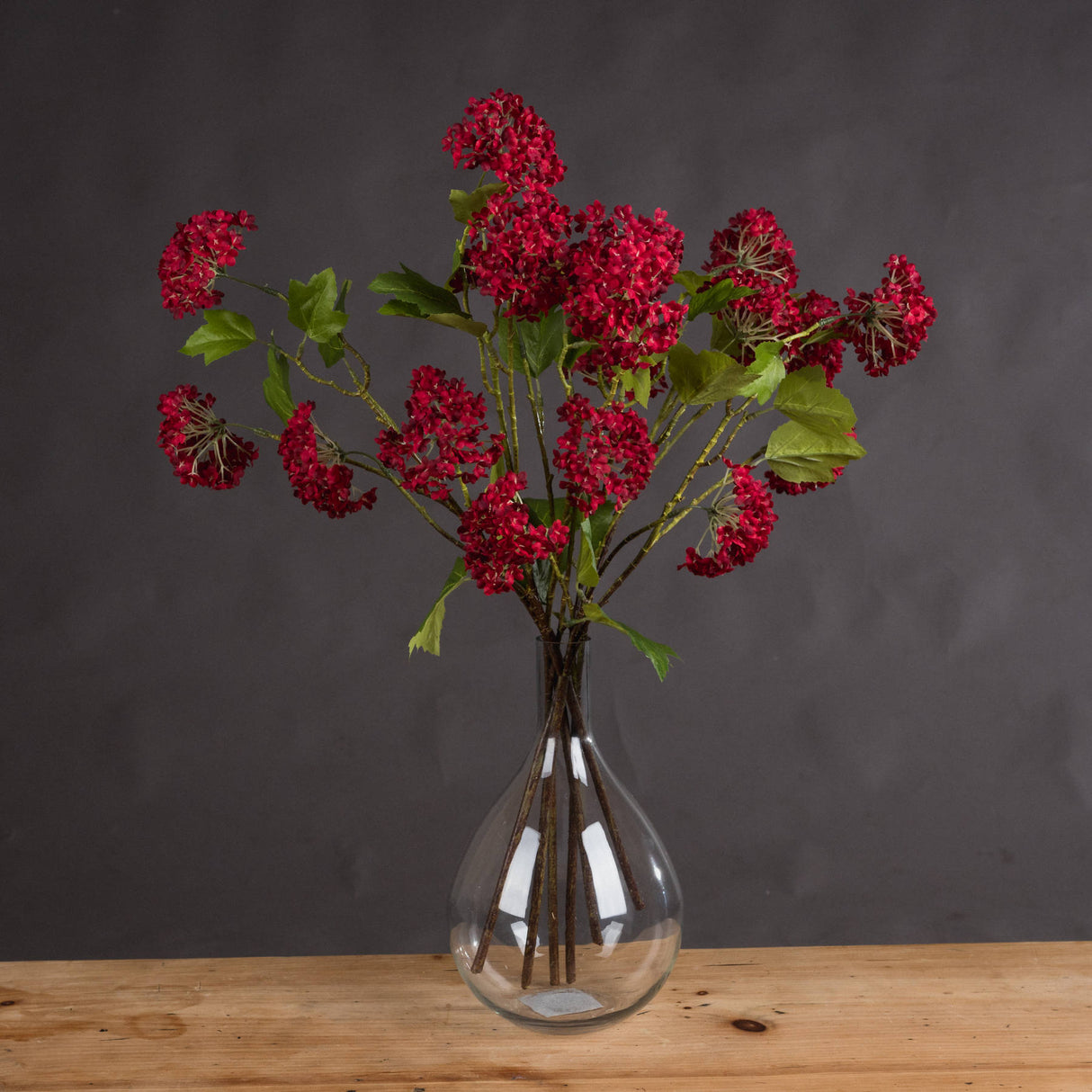 red autumnal viburnum