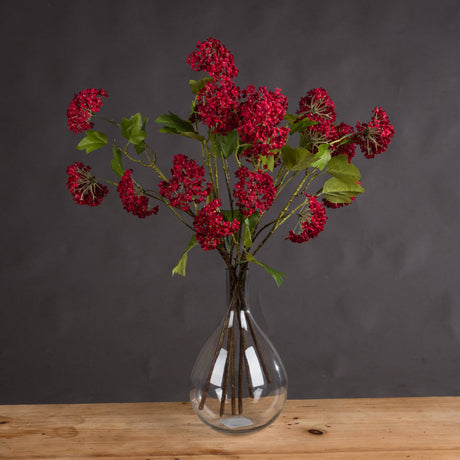 red autumnal viburnum