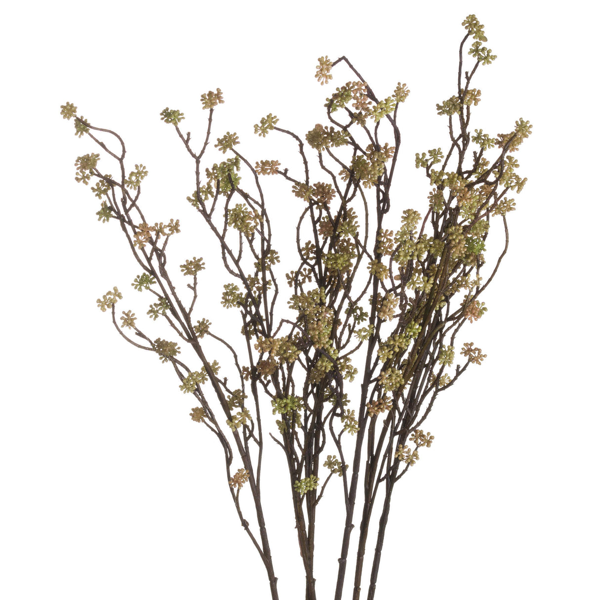 branch in bloom filler