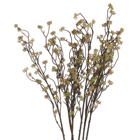 branch in bloom filler